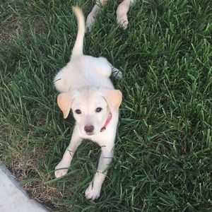 Meet your Posher, Larissa